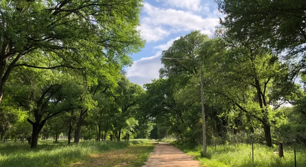 Onion Creek Greenbelt in Austin, peaceful alternative to Barton Creek