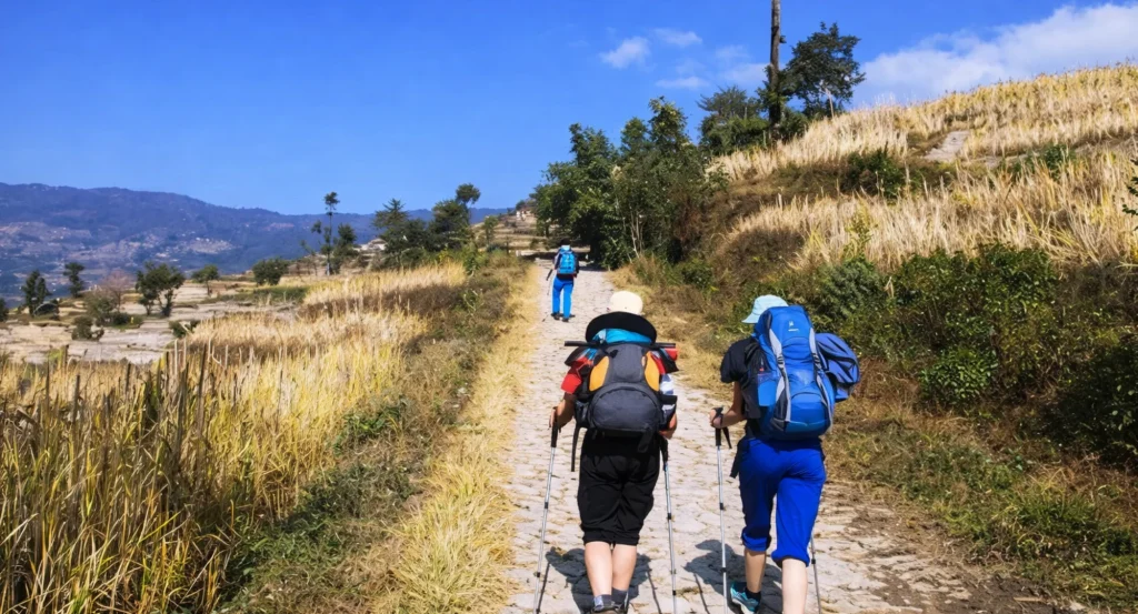 Scenic hiking and nature walking trail through pine forests and green hills in Nagarkot Nepal